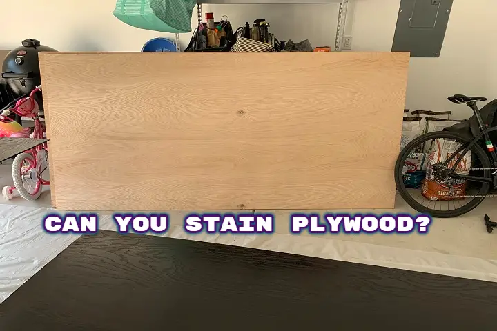 Can you stain plywood cabinets