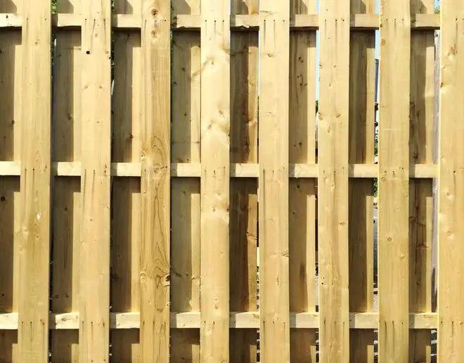 Why Stain Your Wooden Fence?