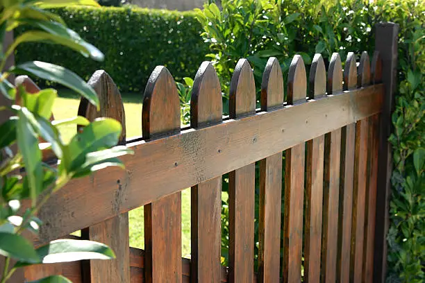 wooden fence color